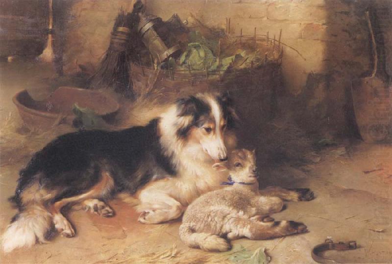 Walter Hunt The Shepherd-s Pet china oil painting image